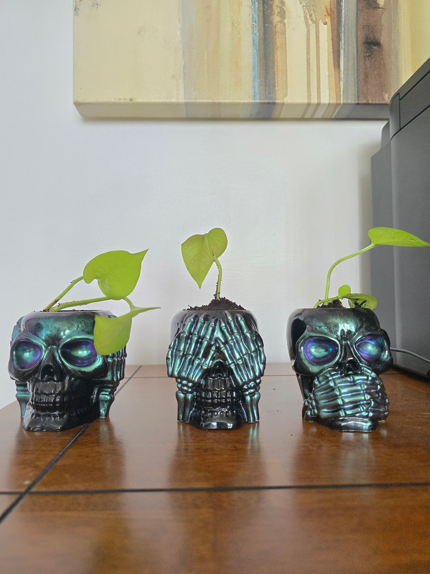 Skull Hear,See,Speak No Plant holders