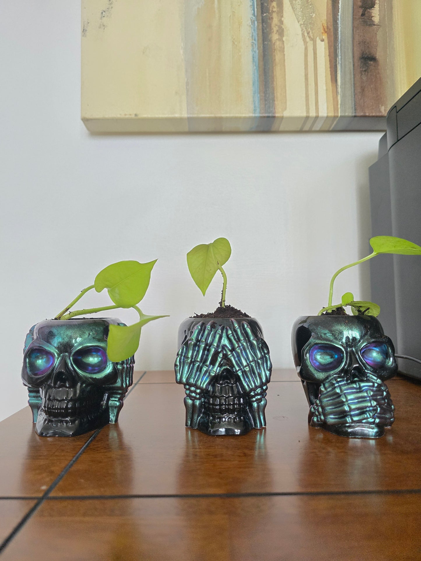 Skull Hear,See,Speak No Plant holders