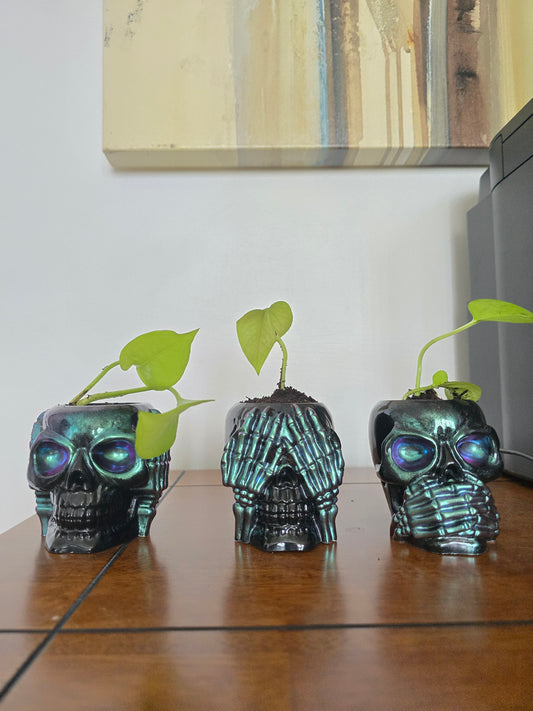 Skull Hear,See,Speak No Plant holders